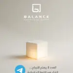 العدد لا يصنع النجاح… الفكر هو القوة الحقيقية